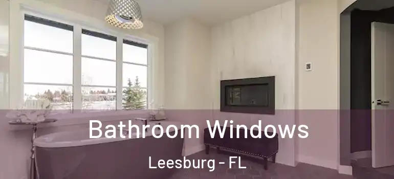  Bathroom Windows Leesburg - FL
