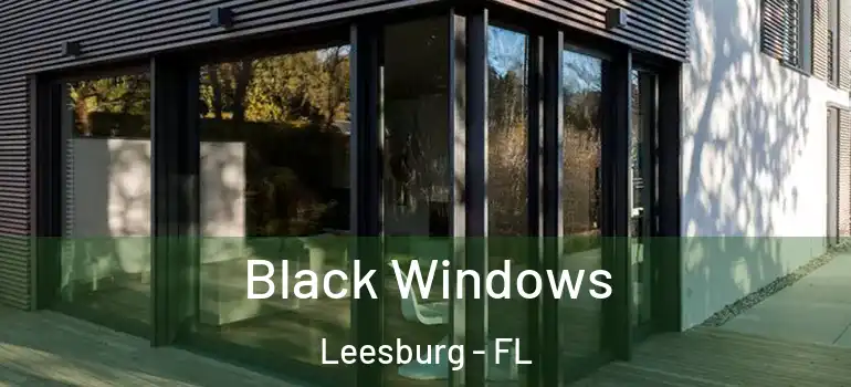  Black Windows Leesburg - FL