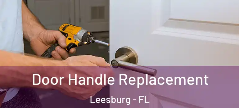  Door Handle Replacement Leesburg - FL