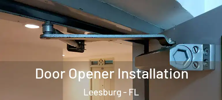  Door Opener Installation Leesburg - FL
