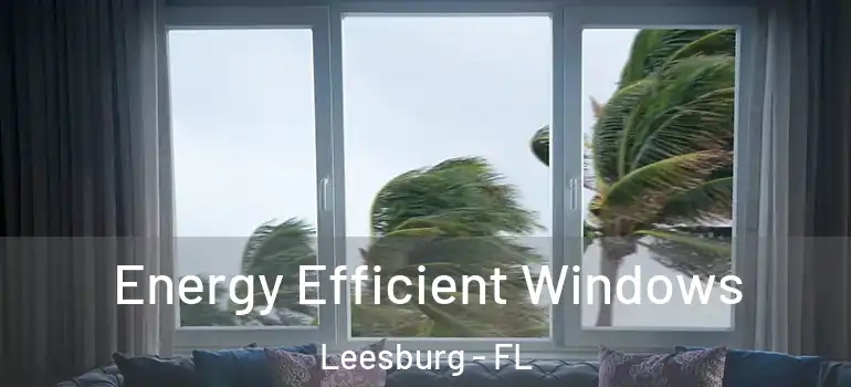  Energy Efficient Windows Leesburg - FL