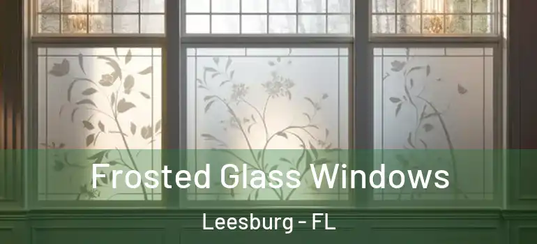  Frosted Glass Windows Leesburg - FL