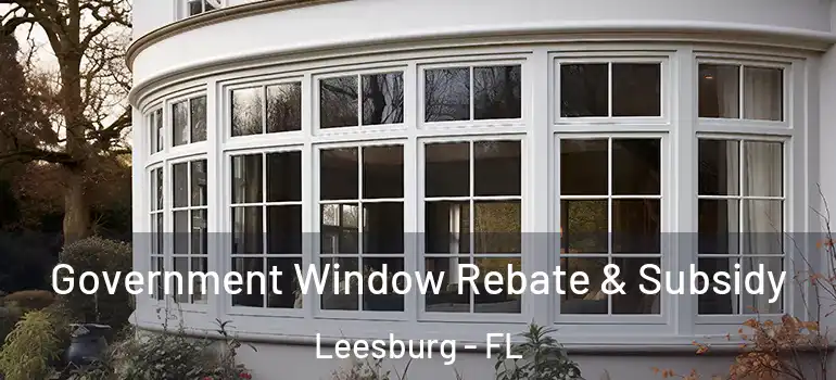 Government Window Rebate & Subsidy Leesburg - FL