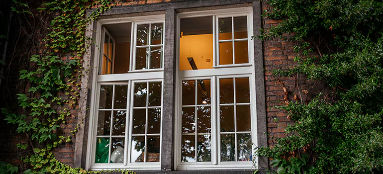 Energy Efficient Wood Windows in Leesburg, FL