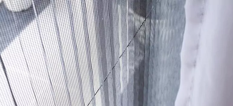 Fixing Screen Window Mesh in Leesburg, FL