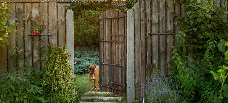 Winter Garden Garage Door Repair in Leesburg,[location field=state]