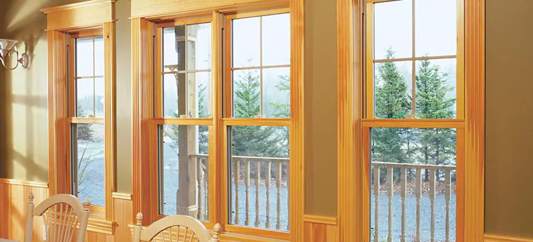 Government Incentives For Replacement Windows in Leesburg, FL