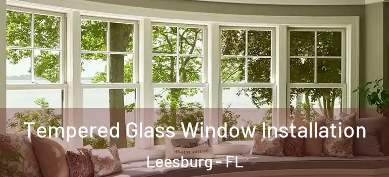  Tempered Glass Window Installation Leesburg - FL