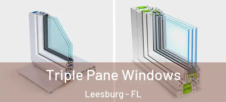  Triple Pane Windows Leesburg - FL