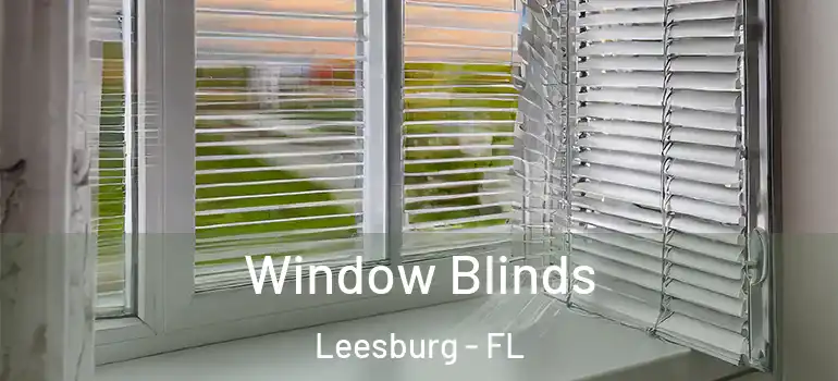  Window Blinds Leesburg - FL