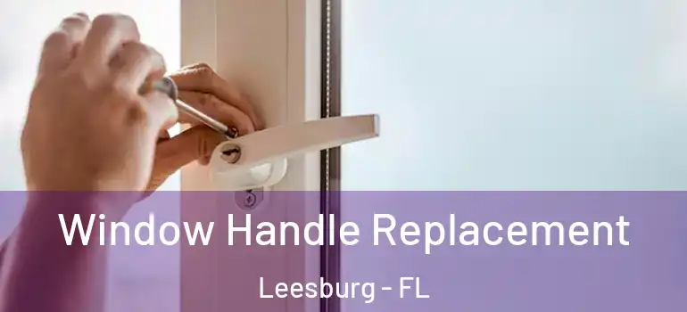  Window Handle Replacement Leesburg - FL