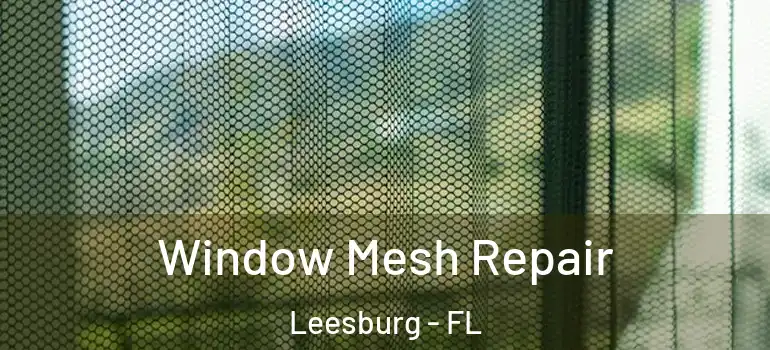  Window Mesh Repair Leesburg - FL