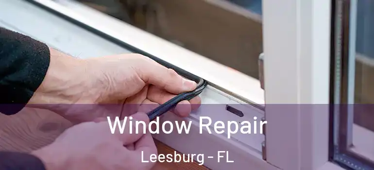  Window Repair Leesburg - FL