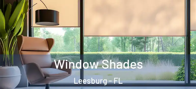  Window Shades Leesburg - FL