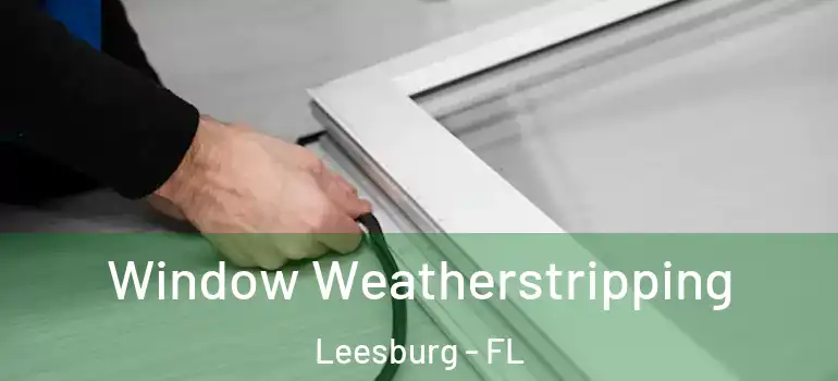  Window Weatherstripping Leesburg - FL